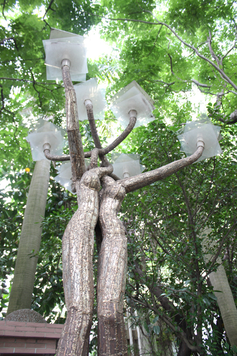 Photo3: Tree Story