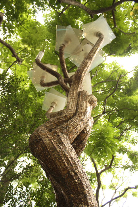 Photo4: Tree Story