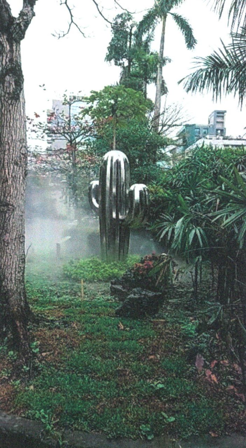 圖片5: 霧中仙人長大 Fog / Cactus / Grow up