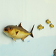 縮圖2: 如魚得水 立體魚拓畫