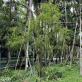 縮圖3: 迴旋荒園	