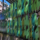 Icon5: Songshan Renjing (Landmark of Kindness):  Rhythms of Life
